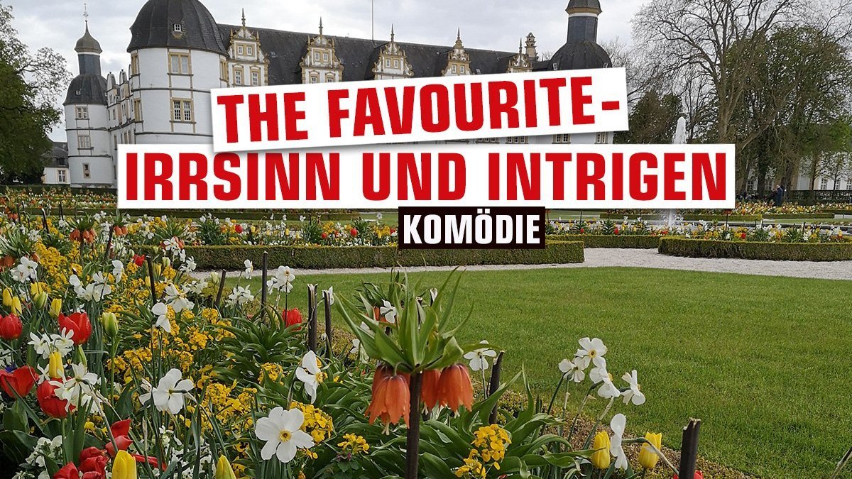 The Favourite - Irrsinn und Intrigen