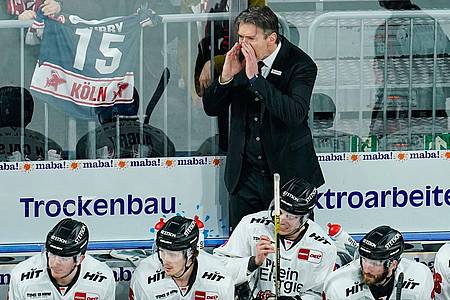 Trainer Uwe Krupp steht mit den Haien unter Druck.