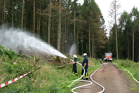Feuerwehrleute spritzen Wasser in Wald