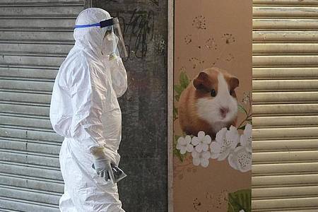 Im Zuge eines Corona-Ausbruchs haben die Behörden in Hongkong die Tötung von etwa 2000 Hamstern und anderen Kleintieren angeordnet. Foto: Kin Cheung/AP/dpa
